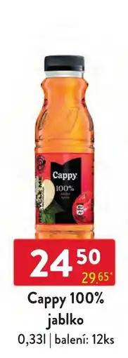 Qanto Cappy 100% jablko nabídka
