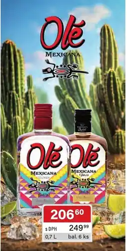 Qanto Ole Mexicana nabídka