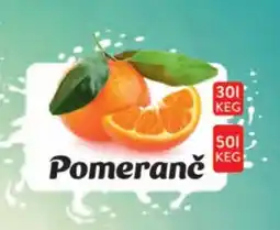 Qanto Pomeranč nabídka