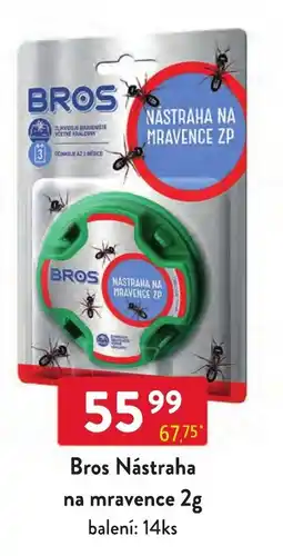 Qanto Bros nástraha na mravence nabídka