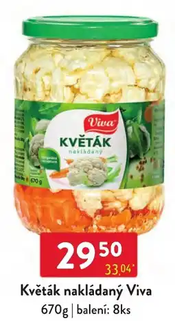Qanto Viva květák nakládaný nabídka