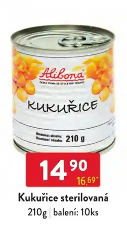 Qanto Alibona kukuřice nabídka