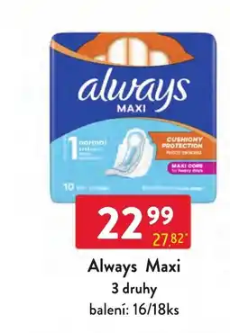Qanto Always Maxi nabídka