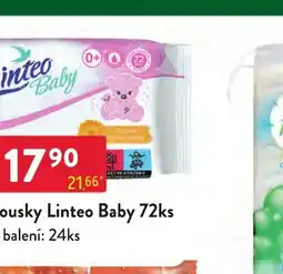 Qanto Linteo Baby nabídka