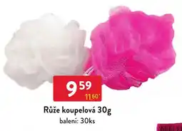 Qanto Růže koupelová nabídka