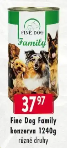 Qanto Fine Dog Family nabídka