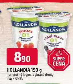 Trefa HOLLANDIA nabídka