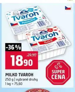 Terno MILKO TVAROH 250 g vybrané druhy nabídka