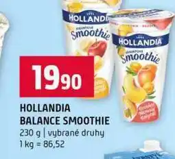 Terno HOLLANDIA BALANCE SMOOTHIE 230 g vybrané druhy nabídka