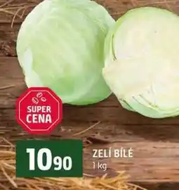 Terno ZELÍ BÍLÉ nabídka