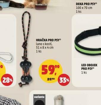 Penny Market Hračka pro psy nabídka