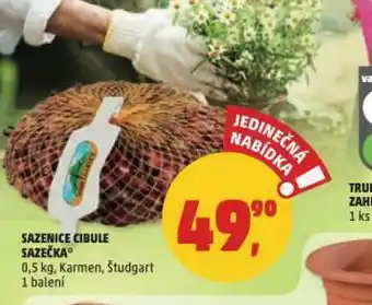 Penny Market Sazenice cibule sazečka nabídka