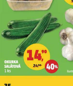 Okurka salátová