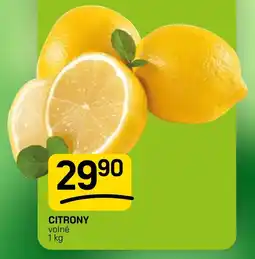 Flop Citrony nabídka