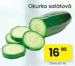 Kubík potraviny Okurka salátová nabídka