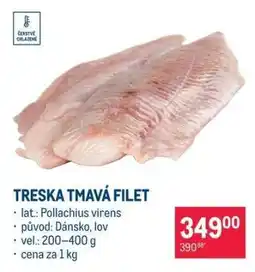 Makro Treska tmavá – filet nabídka