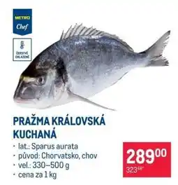Makro Pražma královská kuchaná nabídka