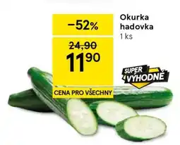 Tesco Okurka hadovka nabídka