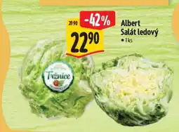 Albert Albert Salát ledový nabídka