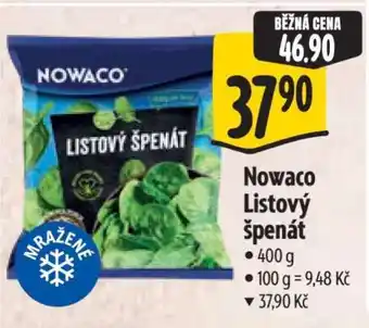 Albert Nowaco Listový špenát nabídka
