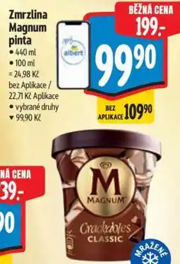 Albert Zmrzlina Magnum Pinta nabídka