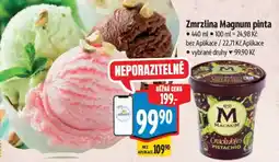 Albert Zmrzlina Magnum Pinta nabídka