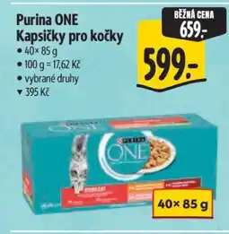 Albert Purina ONE Kapsičky pro kočky nabídka