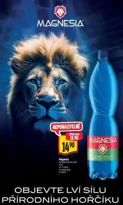 Albert Magnesia nabídka