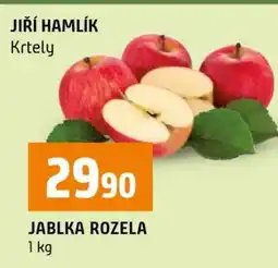 Terno JABLKA ROZELA nabídka