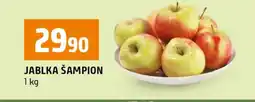 Terno Jablka Šampion nabídka