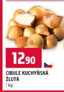 Terno Cibule kuchyňská žlutá nabídka