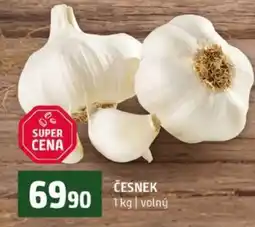 Terno ČESNEK nabídka