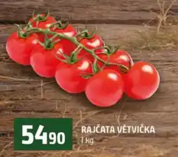 Terno RAJČATA VĚTVIČKA nabídka