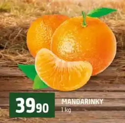 Terno Mandarinky nabídka