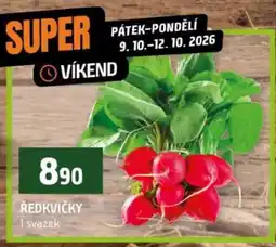 Terno Ředkvičky nabídka