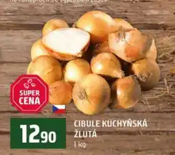 Terno Cibule kuchyňská žlutá nabídka