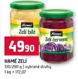 Terno Hamé Zelí nabídka
