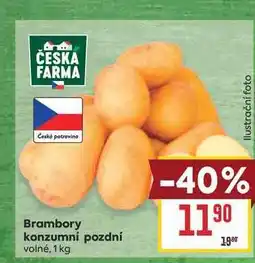 Billa Brambory konzumní pozdní volné nabídka