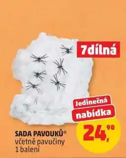 Penny Market SADA PAVOUKŮ včetně pavučiny, 1 balení nabídka