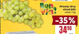 Billa HROZNY RÉVY VINNÉ BÍLÉ nabídka