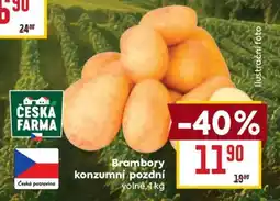 Billa Brambory konzumní pozdní nabídka