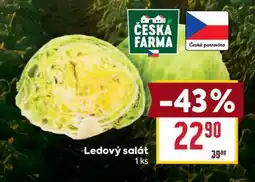 Billa Ledový salát nabídka