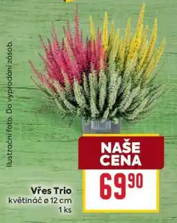 Billa Vřes Trio nabídka