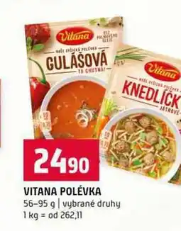 Terno VITANA POLÉVKA 56-95 g vybrané druhy nabídka