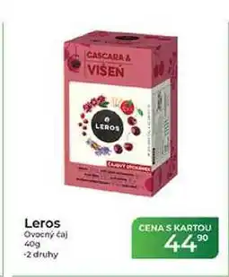 Tamda Foods Leros Ovocný čaj nabídka