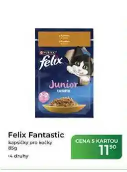 Tamda Foods Felix Fantastic kapsičky pro kočky nabídka