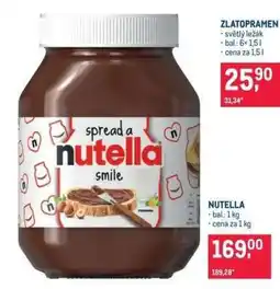 Makro Nutella nabídka