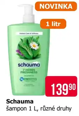 Teta Schauma šampon nabídka