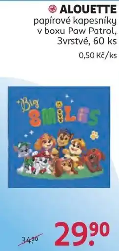 Rossmann Alouette papírové kapesníky v boxu Paw Patrol nabídka