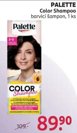 Rossmann Palette color shampoo nabídka